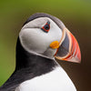 Leica Photo Adventure: Faroe Islands | August 10-18, 2025