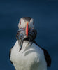 Leica Photo Adventure: Faroe Islands | August 10-18, 2025