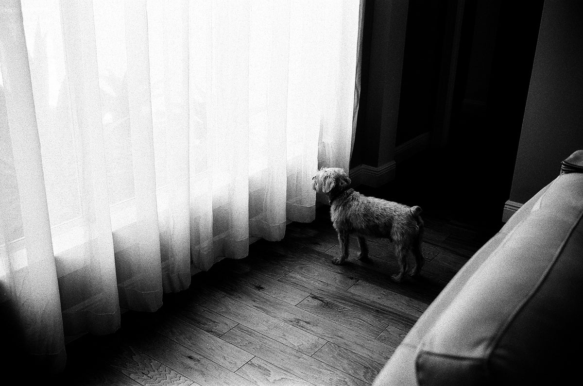 Película negativa en blanco y negro Ilford FP4 Plus - Película en carrete de 35 mm, 36 exposiciones