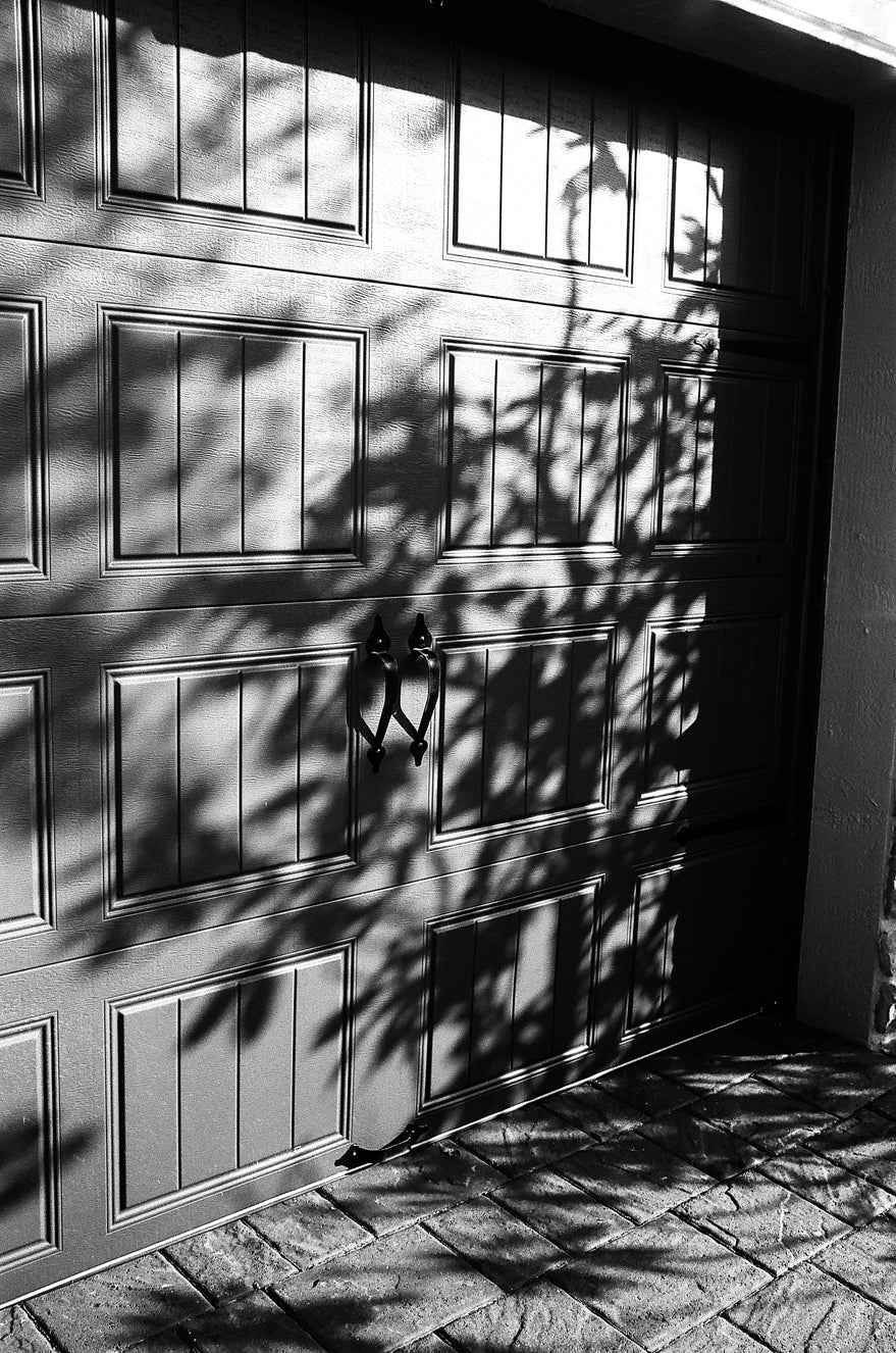 Película negativa en blanco y negro Ilford FP4 Plus - Película en carrete de 35 mm, 36 exposiciones