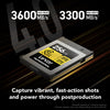Lexar 256GB Professional CFexpress 4.0 Type B Card, GOLD Series