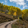 Leica Photo Adventure: Colorado Fall Colors | September 28 – October 4, 2025