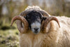 Leica Photo Adventure: Scotland - Hebrides & Highlands  |  October 18-27, 2025