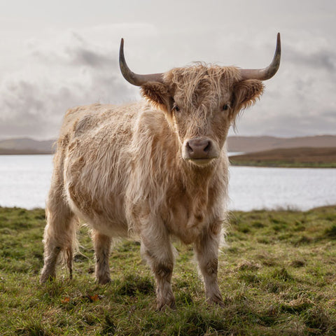 Leica Photo Adventure: Scotland - Hebrides & Highlands  |  October 18-27, 2025