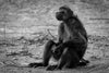 Leica Photo Adventure: Namibia  |  November 3-11, 2027