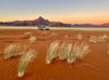 Leica Photo Adventure: Namibia  |  November 3-11, 2027