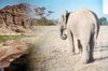 Leica Photo Adventure: Namibia  |  November 3-11, 2027