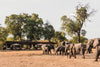 Leica Photo Safari: Zimbabwe  |  July 16-24, 2027