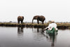 Leica Photo Safari: Zimbabwe  |  July 16-24, 2027