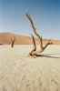 Leica Photo Adventure: Namibia  |  November 3-11, 2027