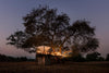 Leica Photo Safari: Zimbabwe  |  July 16-24, 2027