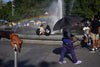NYC Street Photography Workshop | June 18-22, 2025