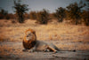 Botswana: Private Mobile Safari  |  July 5-12, 2027