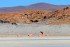 LSM + Explora Experience: Atacama Desert & Uyuni Salt Flats Recce from May 4 - 12, 2025