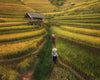Leica Photo Adventure: Vietnam | Sep 21-30, 2026