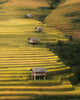Leica Photo Adventure: Vietnam | Sep 21-30, 2026