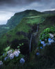 Leica Photo Adventure: The Azores  |  June 22-28, 2026