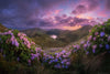 Leica Photo Adventure: The Azores  |  June 22-28, 2026