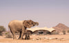 Leica Photo Adventure: Namibia  |  November 3-11, 2027