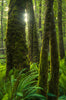 Leica Photo Adventure: New Zealand | March 16-25, 2026