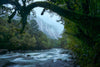 Leica Photo Adventure: New Zealand | March 16-25, 2026