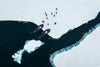 Leica Photo Adventure: Svalbard  |  July 11-20, 2026