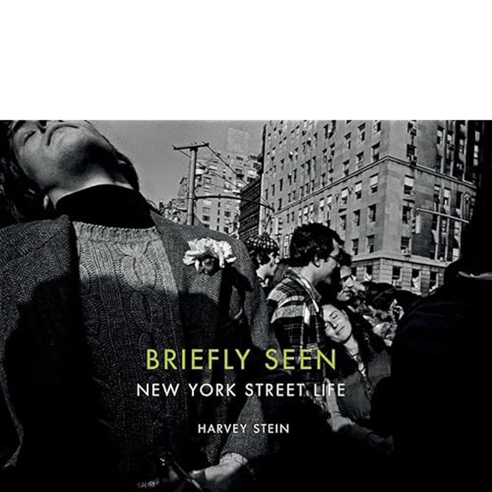Harvey Stein: Visto brevemente: la vida callejera de Nueva York, 2015