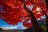 Leica Photo Adventure: Japan | November 9-18, 2025