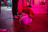 NYC Street Photography Workshop | June 18-22, 2025