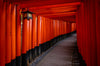 Leica Photo Adventure: Japan | November 9-18, 2025