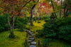 Leica Photo Adventure: Japan | November 9-18, 2025