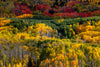 Leica Photo Adventure: Colorado Fall Colors | September 28 – October 4, 2025