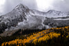 Leica Photo Adventure: Colorado Fall Colors | September 28 – October 4, 2025