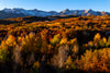 Leica Photo Adventure: Colorado Fall Colors | September 28 – October 4, 2025