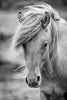 Leica Photo Adventure: Iceland (Eclipse) | August 11-20, 2026