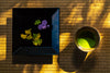 Leica Photo Adventure: Japan | November 9-18, 2025