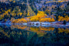 Leica Photo Adventure: Colorado Fall Colors | September 28 – October 4, 2025