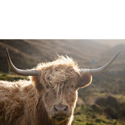 Leica Photo Adventure: Scotland - Highlands & Isle of Skye | Nov 5 - 13, 2024