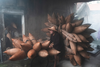 Leica Photo Adventure: Vietnam | Sep 21-30, 2026