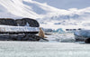 Leica Photo Adventure: Svalbard | May 19-26, 2027