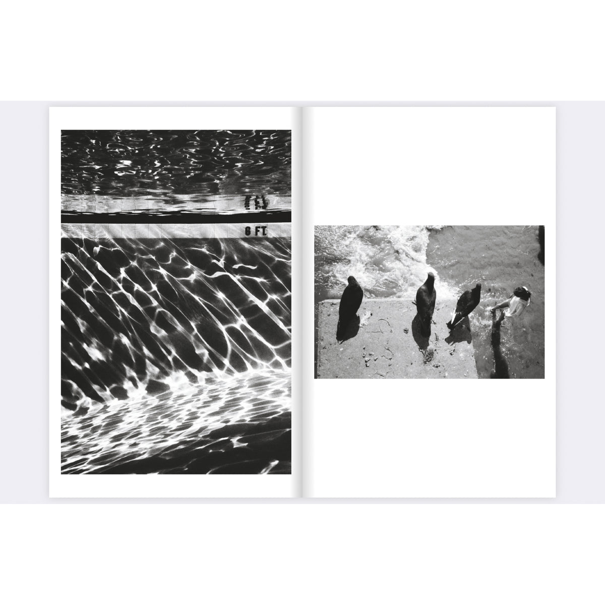Brian Demby: SoBe vs. Coney, 2.ª edición, 2024 - Firmado