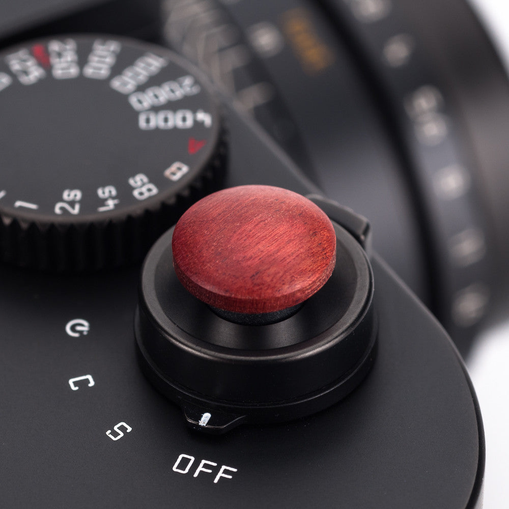 Artisan Obscura «Cameras» Soft Release de madera - 11 mm, cóncavo, madera de marfil