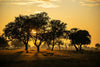 Leica Photo Safari: Zimbabwe  |  July 16-24, 2027