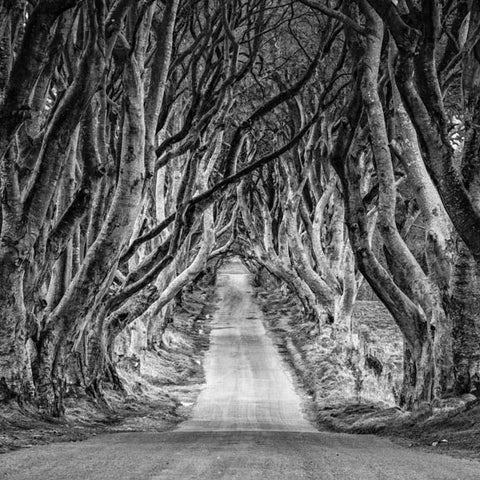 Northern Ireland Monochrom Workshop (Recce) |  August 11-20, 2025