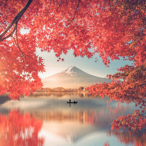 Leica Photo Adventure: Japan | November 9-18, 2025