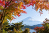 Leica Photo Adventure: Japan | November 7-17, 2023