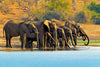 Botswana: Private Mobile Safari  |  July 5-12, 2027