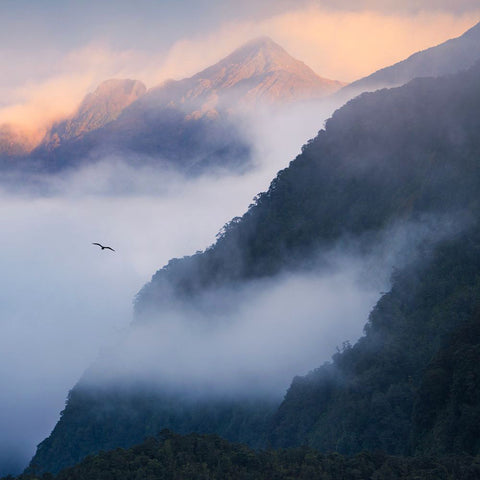 Leica Photo Adventure: New Zealand | March 16-25, 2026