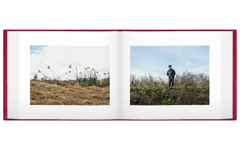 Alessandra Sanguinetti: El gendarme en la colina, 2017