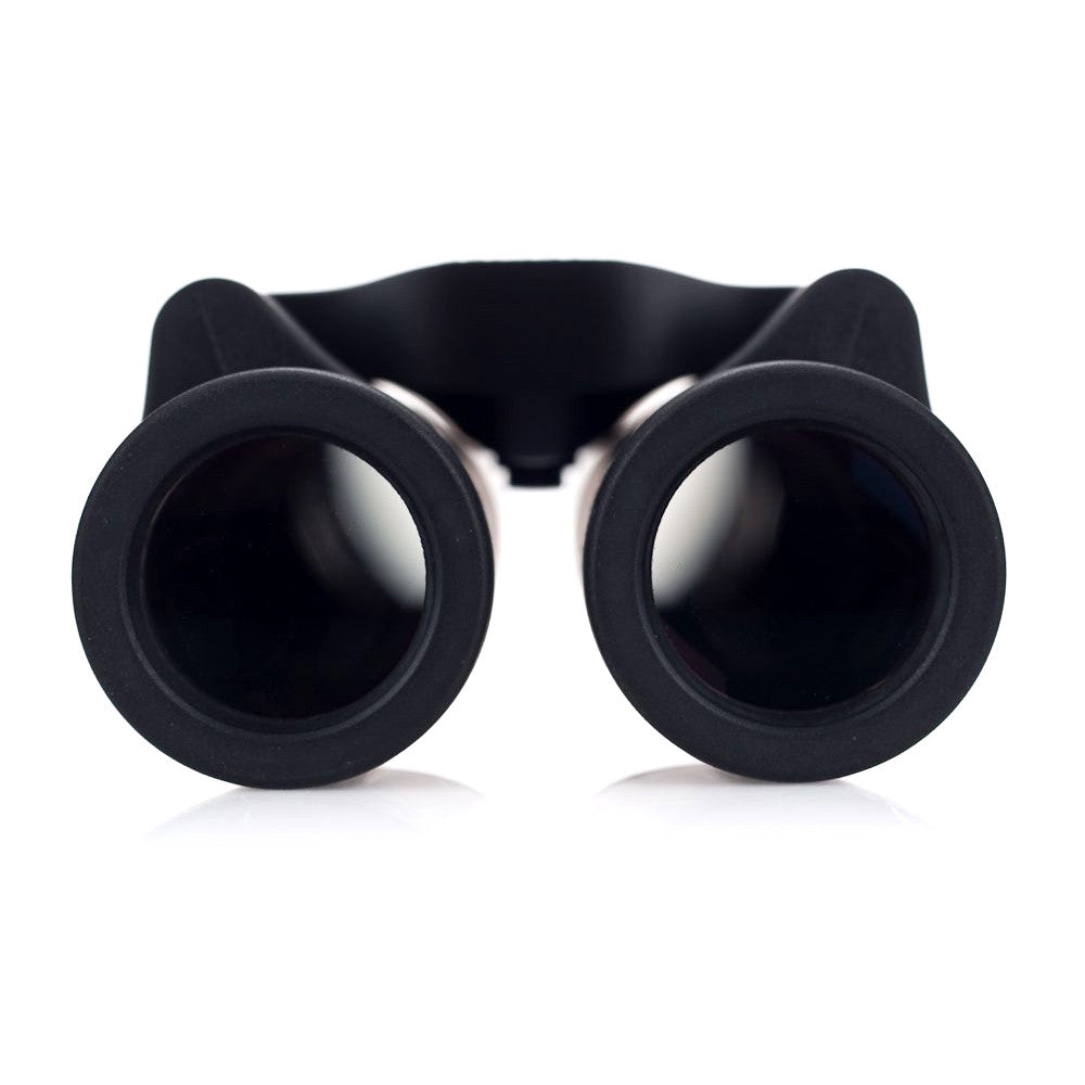 Leica 8x20 Ultravid BCR Compact Binocular - Black